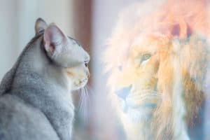 How to improve your self-esteem