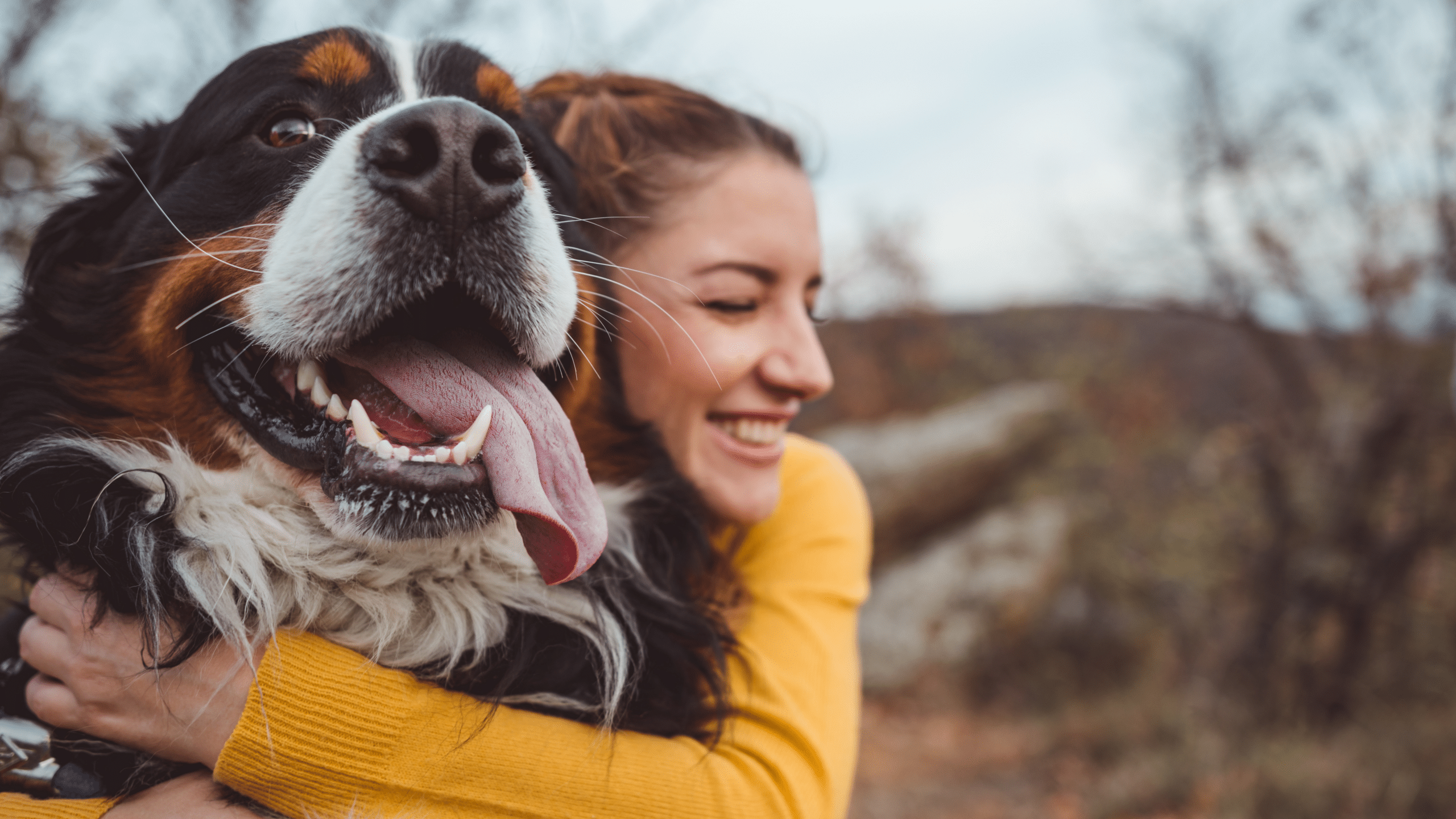 Animal Love