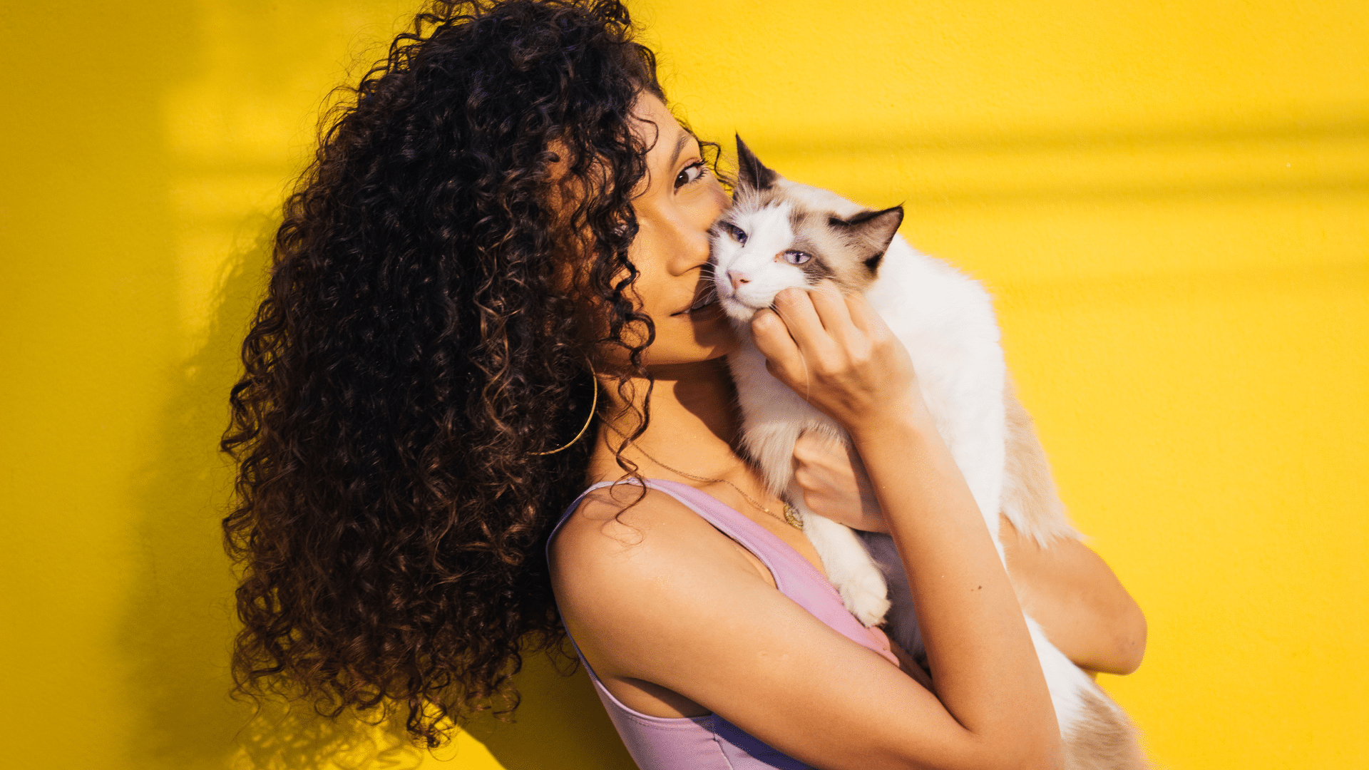 Animal Love